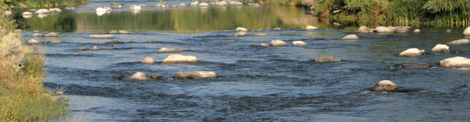 Keep the Truckee River Healthy and Flowing